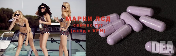 гашик Алексин