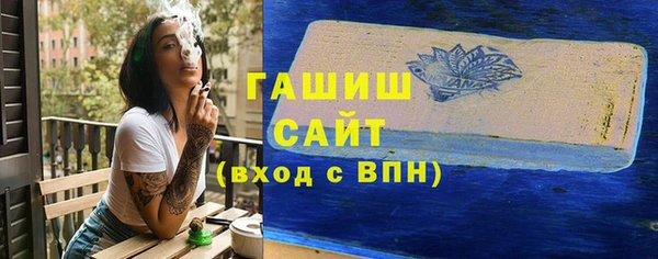 гашик Алексин