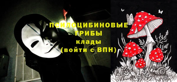 гашик Алексин