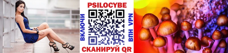 Галлюциногенные грибы Psilocybe  закладки  Чапаевск 